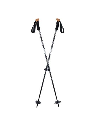 El esqu&iacute; y el snowboard